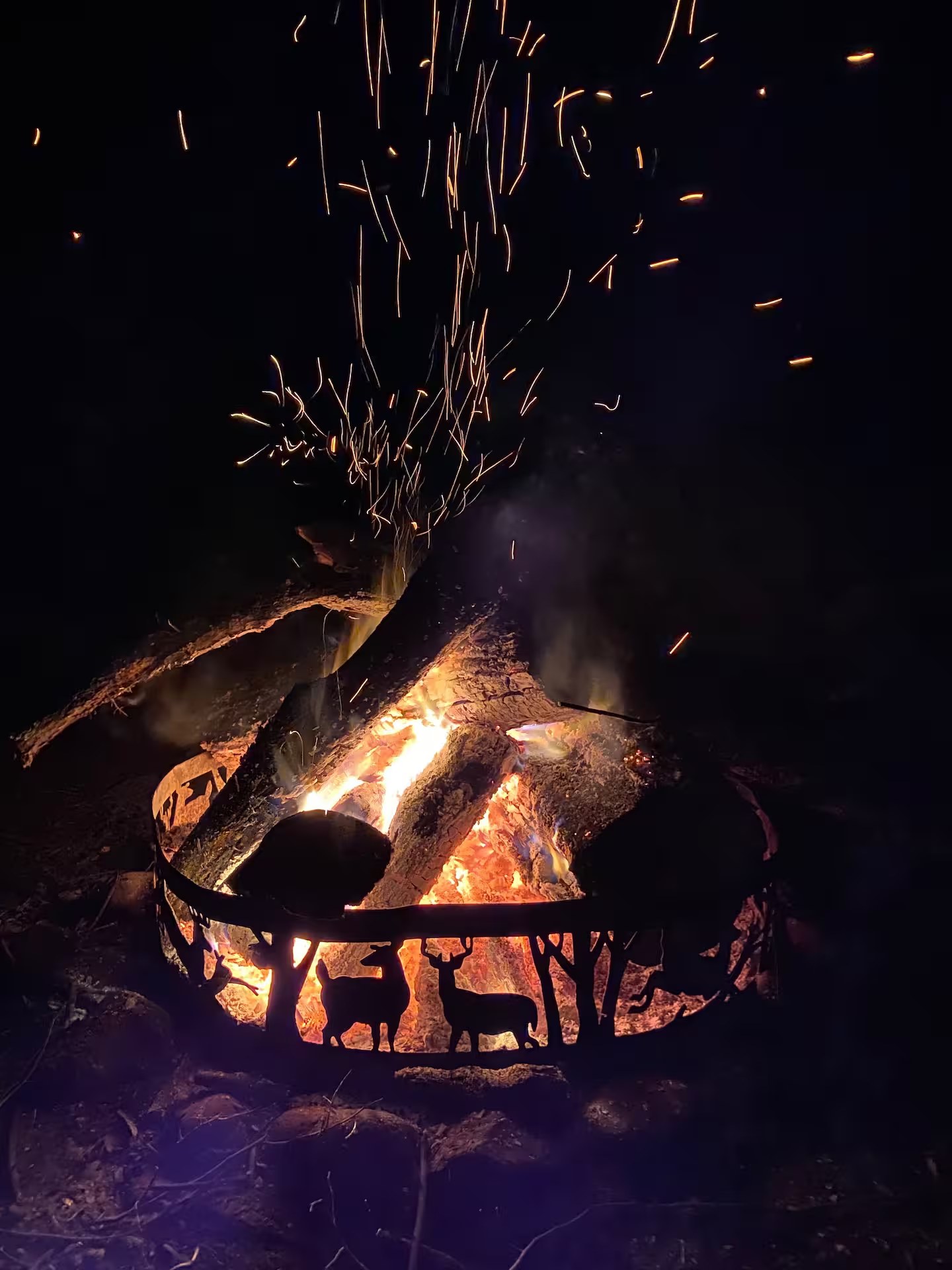 Campfire at night